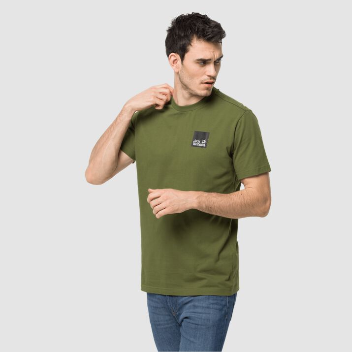 T-shirt Jack Wolfskin Rainbow Paw Hombre Verdes Mexico-4238567